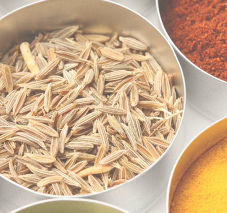 漢方治療について